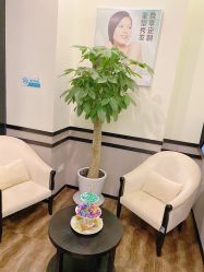 -史云逊养发护发