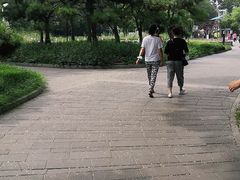 -丰台花园