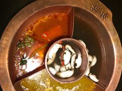 菌王奇香锅-滇釜火锅·能喝汤的火锅(车公庄店)