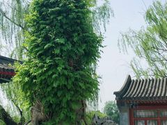 -北海公园
