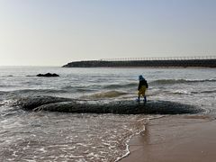 -日照灯塔风景区