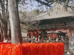 -红螺寺