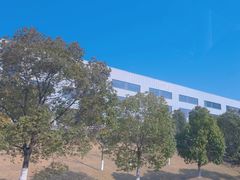 -金钉子远古世界景区
