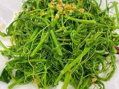 野菜（赤仓藤）-东馆和天下特色餐饮(工农店)