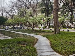 -山东大学(趵突泉校区)