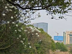 -艾溪湖湿地公园