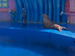 -华夏文旅海洋公园