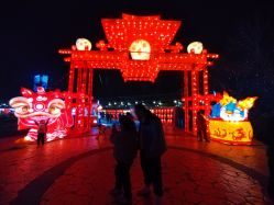 -飞览天下沉浸式飞行体验(北京旗舰店)