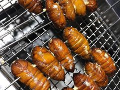 蚕蛹-橦橦小马扎烧烤 (传媒大学店)