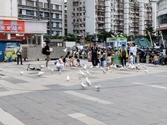 -江燕路万科里