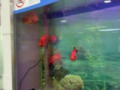 -雅悦齿科(顾村公园店)