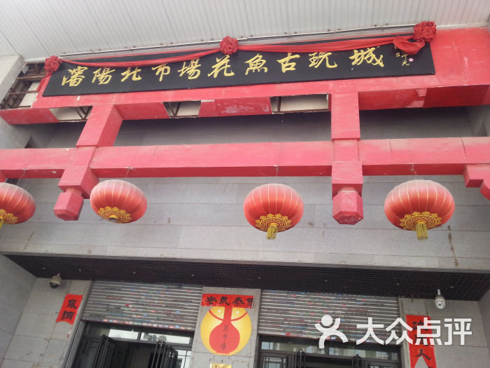 北市场花鸟鱼市场20150321_140731图片 - 第32张