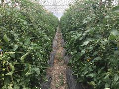 -上膳源有机农场