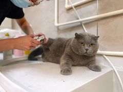 -沐沐家宠物(成寿寺店)