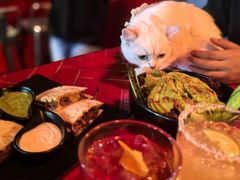 -Luchador摔跤手墨西哥餐厅(恒宇广场店)