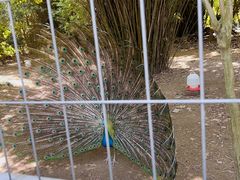 -宁波野生动物园