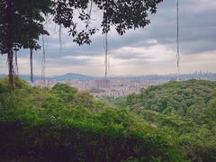 -广州市白云山风景名胜区