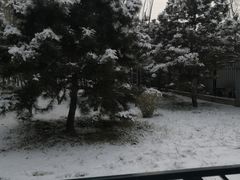 -玲珑塔公园