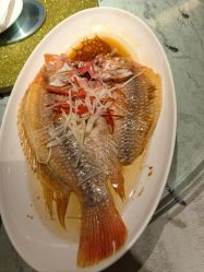 -新锦江大酒店·宴会厅·婚宴