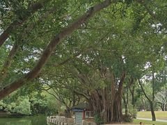 -人民公园(罗湖区)