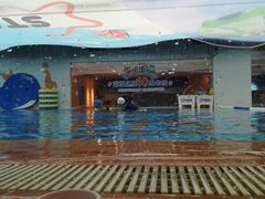 -蓝旗儿童游泳俱乐部(北国中心)