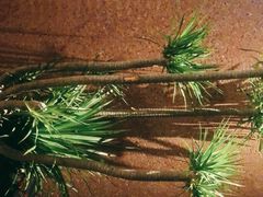 -柴门头啖汤·经典川菜·慢火汤品(锦城万达店)