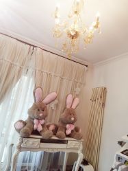 -美肤盾祛痘·问题肌头疗管理中心