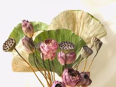 -溪畔如家土菜馆