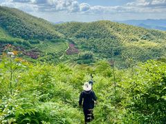 -溪口-滕头旅游景区