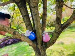 -ACE CLUB(大连民主广场店)