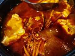 辣豆腐汤-喜来稀肉(虹泉路店)