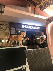 -BARBERKING男士理发馆barber shop