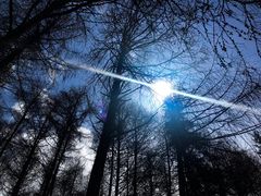 -硗碛藏寨·神木垒景区