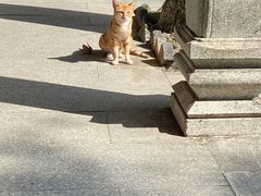 -国恩寺