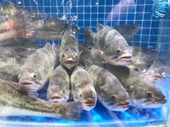 -七鲜超市(通州ONE店)