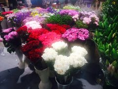 -双季花艺园艺市场(浦东店)