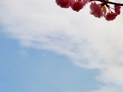 -穹窿山景区