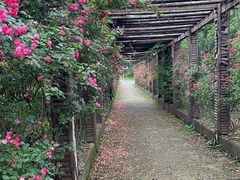 -黄陂区野村谷景区