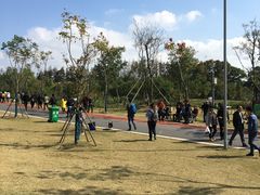 -上海长兴岛郊野公园