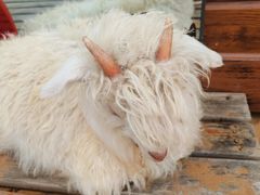 -银肯塔拉沙漠生态旅游景区