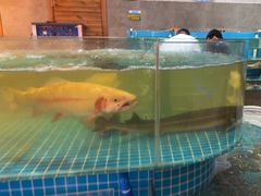 -蓝珊甄选海鲜自助·火锅大排档(近阿那亚店)