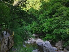 -青峰峡国家森林公园