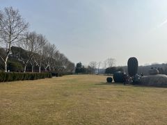 -宜兴龙背山森林公园