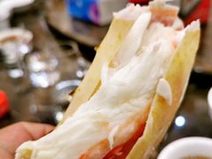 -蚝专家
