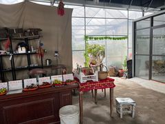 -马陆小张葡萄园农家乐