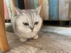 -小时光咖啡馆(北锣鼓巷店)