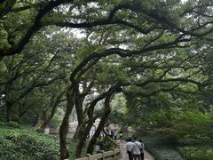 -普陀山风景名胜区-法雨禅寺