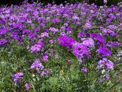 -南京金牛湖风景区