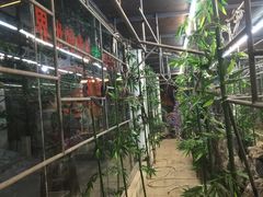 -荔城生鲜盛宴(番禺旗舰店)