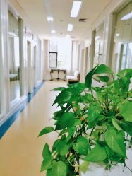 -五洲妇儿医院